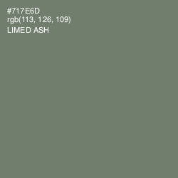 #717E6D - Limed Ash Color Image